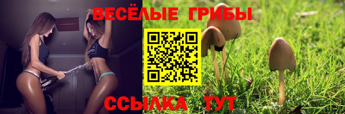 Псилоцибиновые грибы Cubensis Ялта